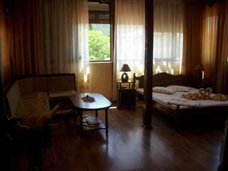 Отель Hotel Ambrozia Котел Двухместный номер с 1 кроватью-10